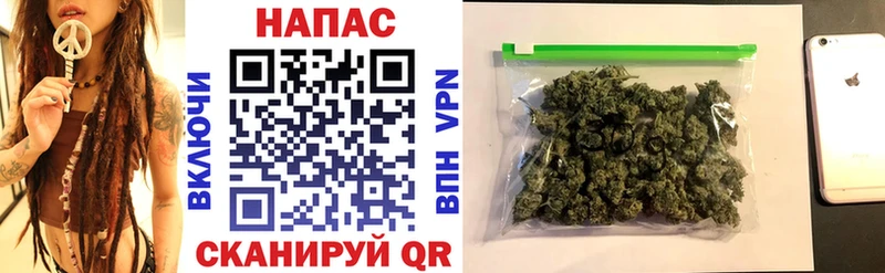 где купить наркоту  Вихоревка  Бошки Шишки сатива 